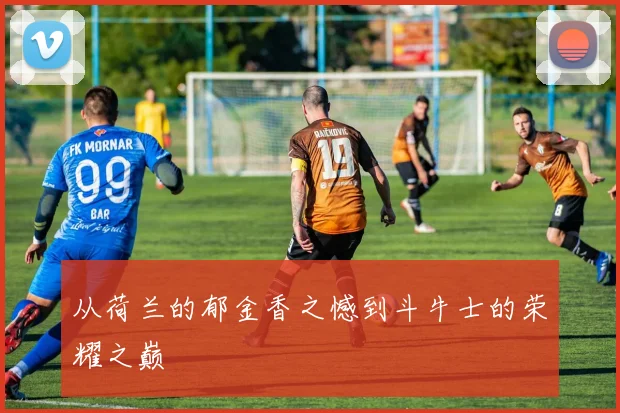 从荷兰的郁金香之憾到斗牛士的荣耀之巅