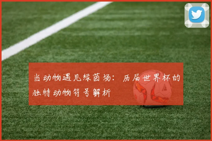 当动物遇见绿茵场：历届世界杯的独特动物符号解析
