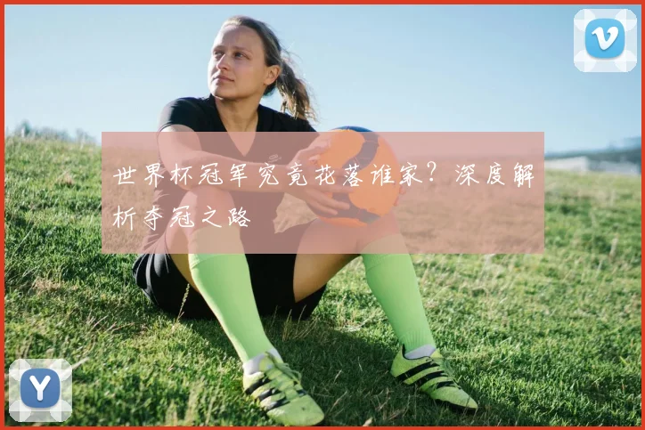 世界杯冠军究竟花落谁家?深度解析夺冠之路