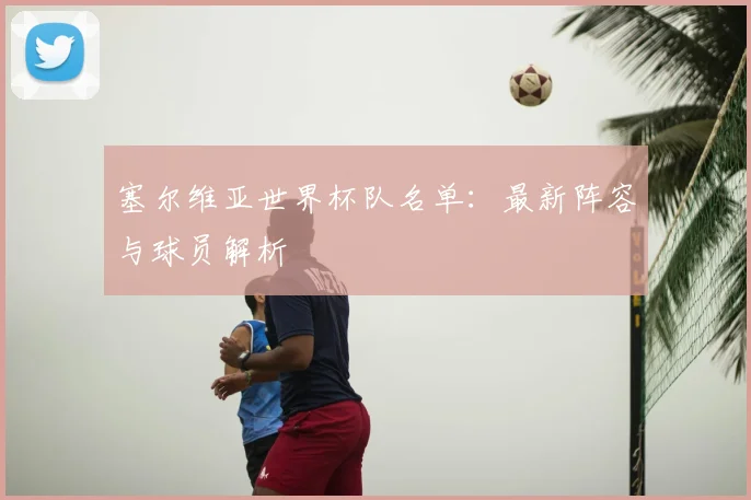 塞尔维亚世界杯队名单:最新阵容与球员解析