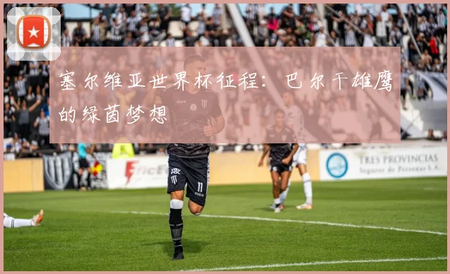 塞尔维亚世界杯征程：巴尔干雄鹰的绿茵梦想